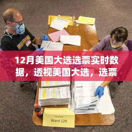 透视美国大选,选票实时数据的深度解读与影响洞察
