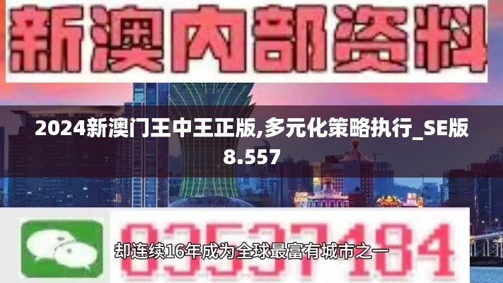 2024新澳门王中王正版,多元化策略执行_SE版8.557