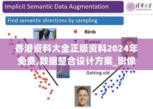 香港资料大全正版资料2024年免费,数据整合设计方案_影像版8.679