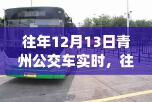 往年12月13日青州公交车实时评测,特性、体验与竞品对比全解析