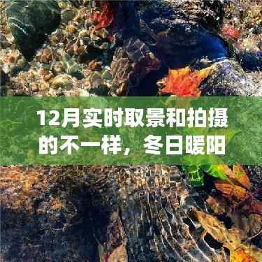 冬日暖阳魔法时刻,与朋友共度的温馨拍摄之旅