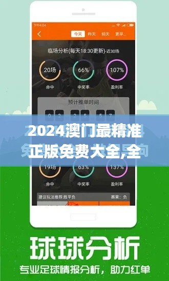 2024澳门最精准正版免费大全,全面解读说明_R版4.569