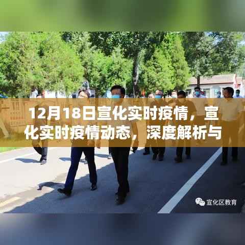 宣化实时疫情深度解析及用户体验报告,最新动态与体验反馈