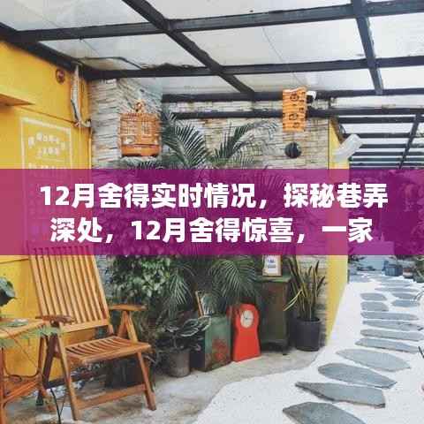探秘巷弄深处的舍得惊喜,一家隐藏小巷中的特色小店揭秘的十二月故事