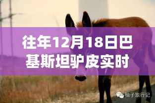 巴基斯坦驴皮价格实时查询,探寻自然美景与内心宁静之旅