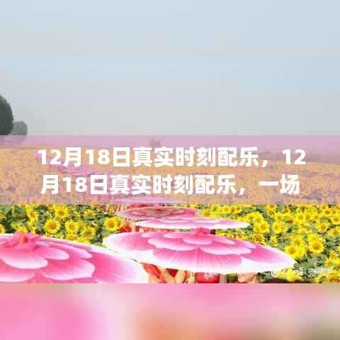 12月18日真实时刻配乐，音乐的盛宴，情感随旋律流淌