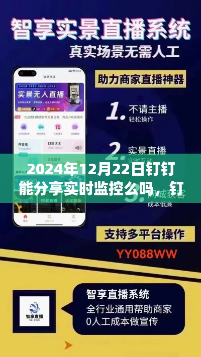 钉钉未来版实时监控，科技引领生活新风尚