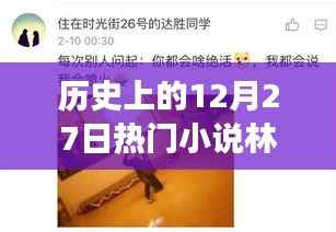 历史上的12月27日,林天宇与宁丽霞的热门小说之旅