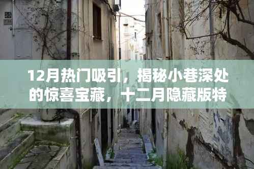 十二月小巷深处的惊喜宝藏,隐藏版特色小店揭秘