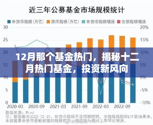 揭秘十二月热门基金,投资新风向,把握最新热门基金机会!
