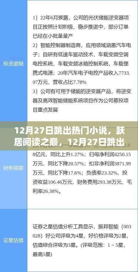 12月27日热门小说跃居阅读之巅,全面评测与介绍