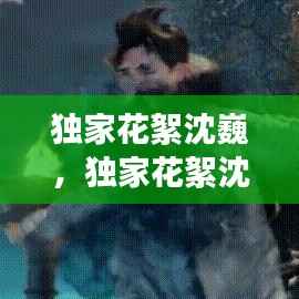 独家花絮沈巍,独家花絮沈巍是哪一期