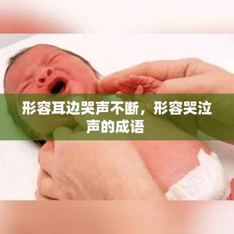 形容耳边哭声不断,形容哭泣声的成语