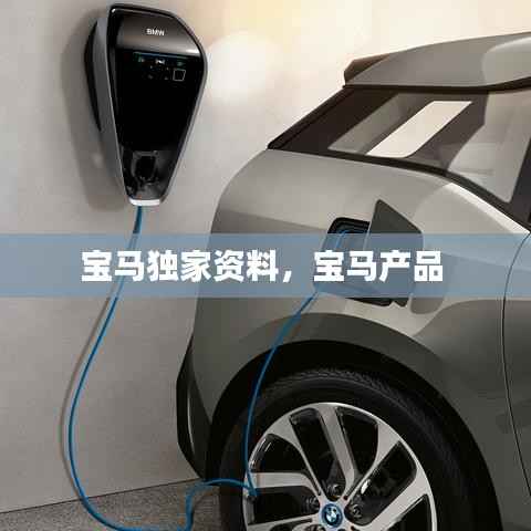宝马独家资料,宝马产品