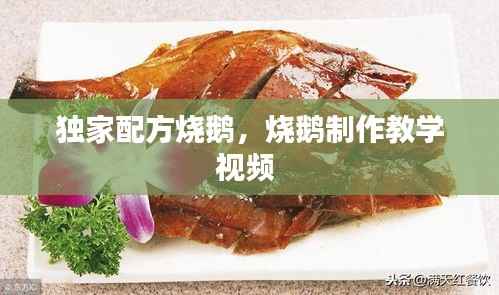 独家配方烧鹅,烧鹅制作教学视频