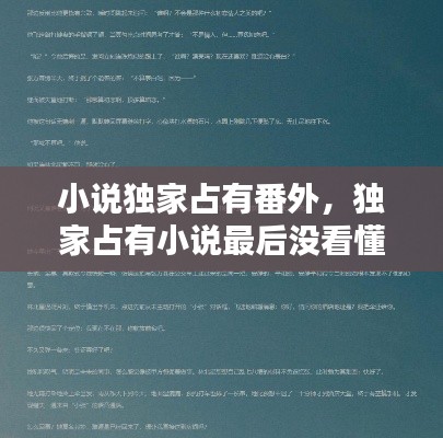 小说独家占有番外,独家占有小说最后没看懂