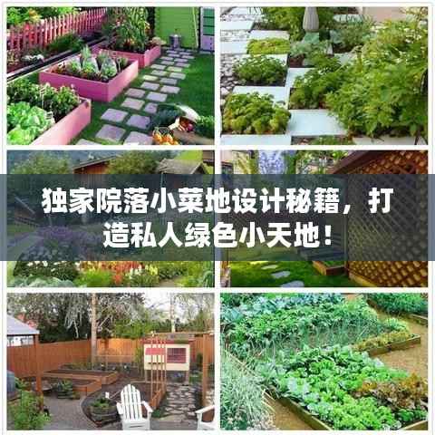 独家院落小菜地设计秘籍,打造私人绿色小天地!