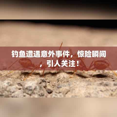 钓鱼遭遇意外事件,惊险瞬间,引人关注!