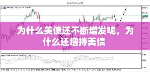 为什么美债还不断增发呢,为什么还增持美债