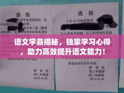 语文学霸揭秘,独家学习心得,助力高效提升语文能力!