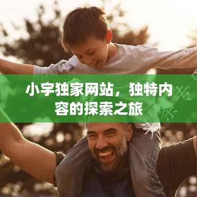 小宇独家网站,独特内容的探索之旅