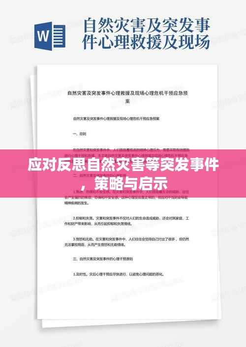 应对反思自然灾害等突发事件,策略与启示