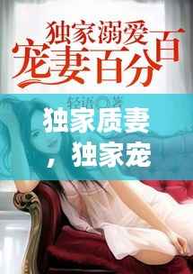 独家质妻,独家宠妻