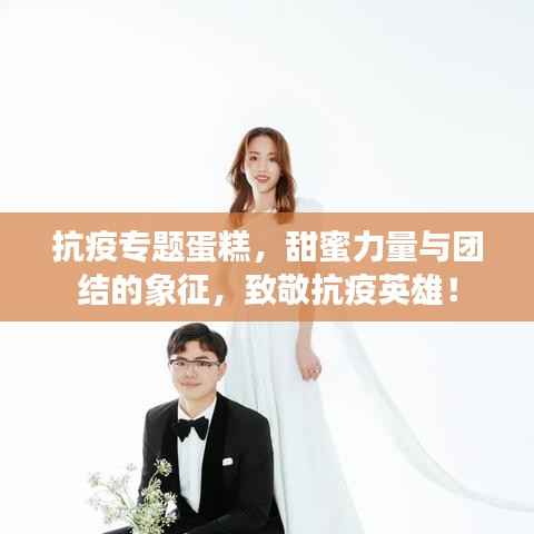 抗疫专题蛋糕,甜蜜力量与团结的象征,致敬抗疫英雄!