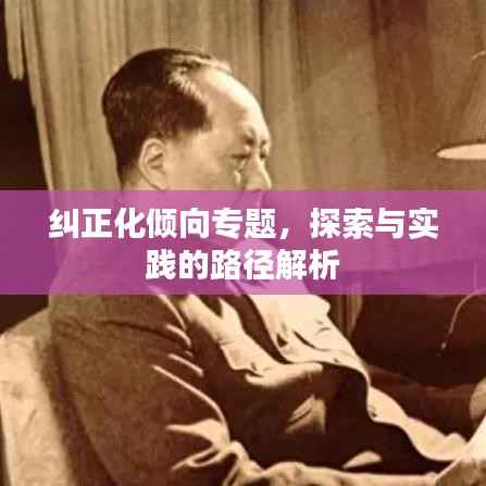 纠正化倾向专题,探索与实践的路径解析