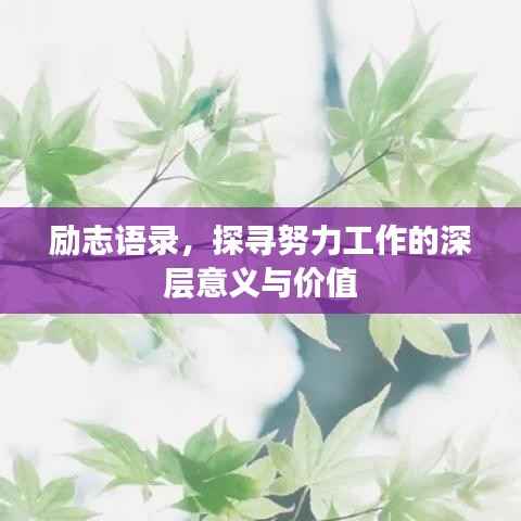 励志语录,探寻努力工作的深层意义与价值