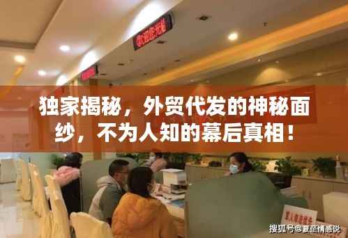 独家揭秘,外贸代发的神秘面纱,不为人知的幕后真相!