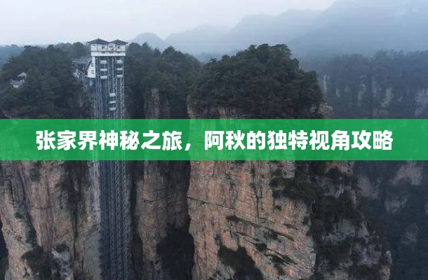 张家界神秘之旅,阿秋的独特视角攻略