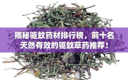 揭秘驱蚊药材排行榜,前十名天然有效的驱蚊草药推荐!