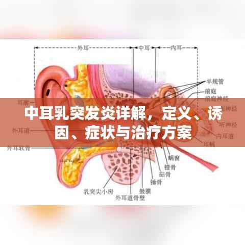 中耳乳突发炎详解,定义、诱因、症状与治疗方案