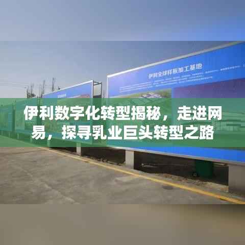 伊利数字化转型揭秘,走进网易,探寻乳业巨头转型之路