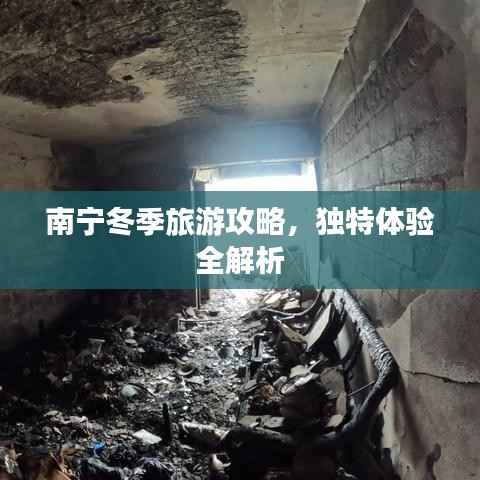 南宁冬季旅游攻略，独特体验全解析