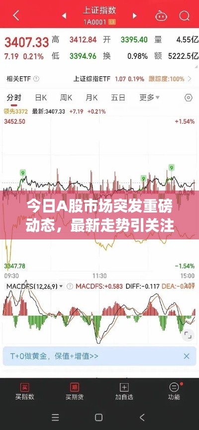 明目张胆 第2页