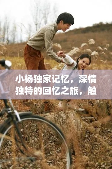 小杨独家记忆,深情独特的回忆之旅,触动心灵深处的故事