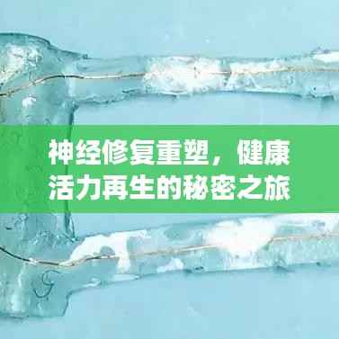 神经修复重塑,健康活力再生的秘密之旅