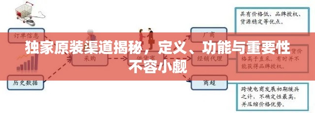 独家原装渠道揭秘,定义、功能与重要性不容小觑