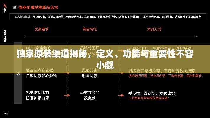 独家原装渠道揭秘,定义、功能与重要性不容小觑