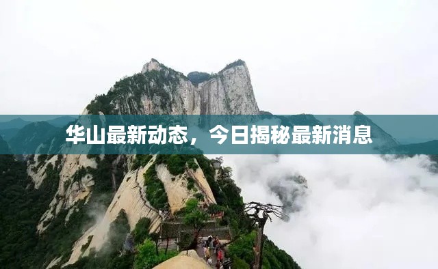 华山最新动态,今日揭秘最新消息