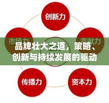 品牌壮大之道,策略、创新与持续发展的驱动力