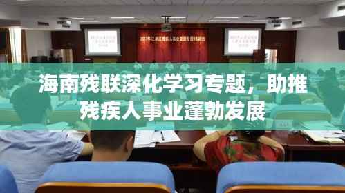 海南残联深化学习专题，助推残疾人事业蓬勃发展