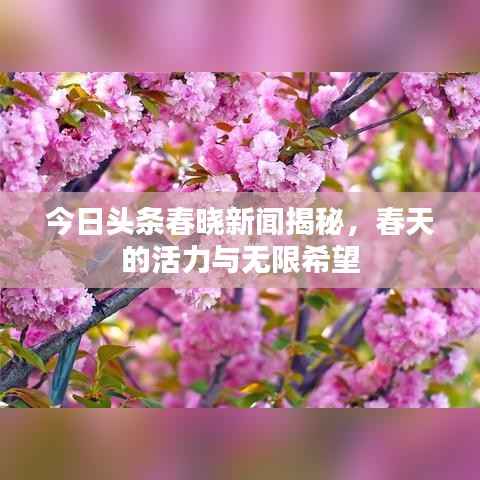 今日头条春晓新闻揭秘,春天的活力与无限希望