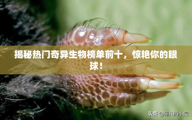 揭秘热门奇异生物榜单前十,惊艳你的眼球!