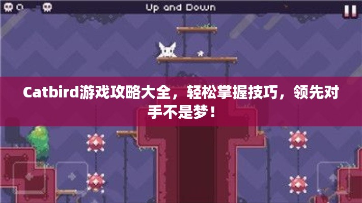 Catbird游戏攻略大全,轻松掌握技巧,领先对手不是梦!