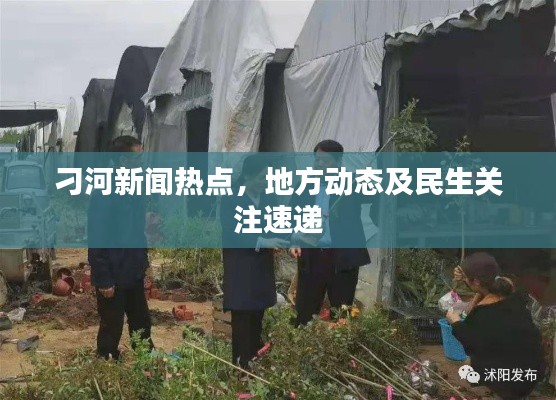 刁河新闻热点，地方动态及民生关注速递