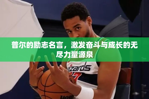 普尔的励志名言,激发奋斗与成长的无尽力量源泉