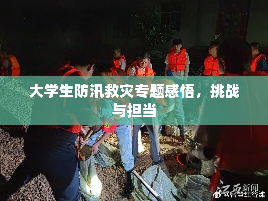 大学生防汛救灾专题感悟,挑战与担当